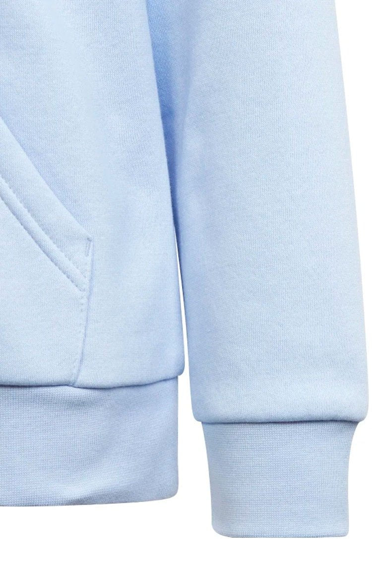 Blusa Adidas Moletom Capuz Adicolor Azul Claro - NewSkull