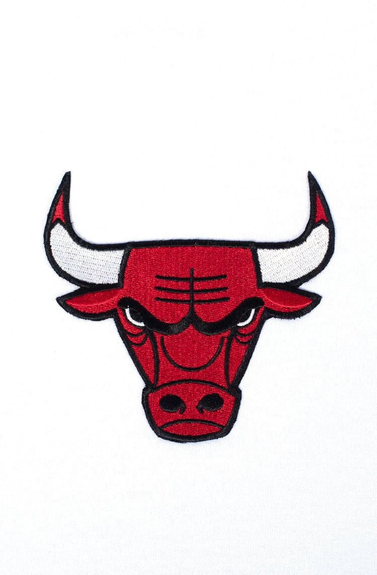 Camiseta Dystom Approve X NBA Bulls Branco/Vermelho - NewSkull