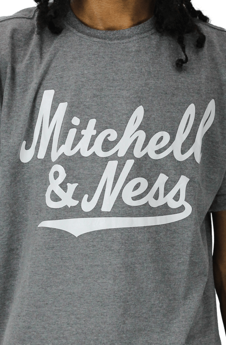 Camiseta Mitchell e Ness Branded Logo Cinza - NewSkull