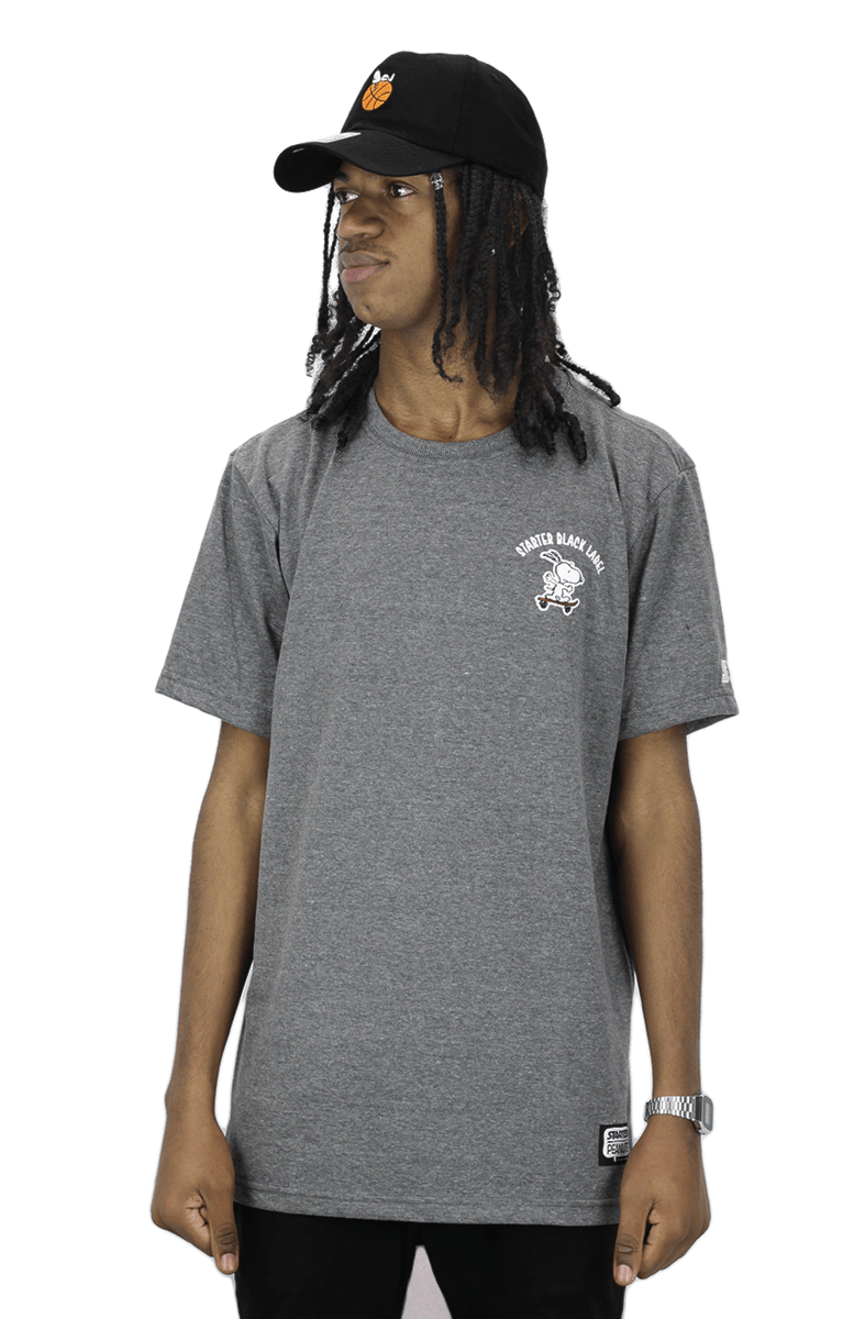 Camiseta Starter X Peanuts Snoopy Skateboarding II Cinza - NewSkull