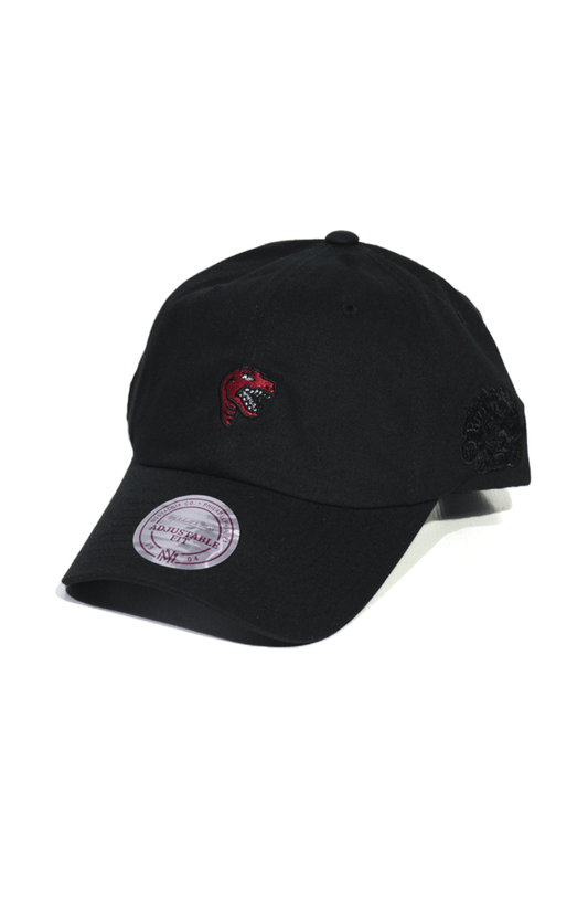 Boné Aba Curva Mitchell and Ness Toronto Raptors Snapback Preto - NewSkull