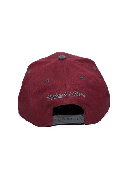 Boné Mitchell and Ness Cleveland Cavaliers Tonal Logo Snapback Cinza - NewSkull