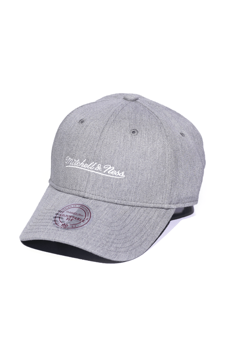 Boné Mitchell and Ness Strapback Team Logo Low Pro Cinza - NewSkull