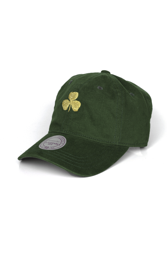 Bone Mitchell e Ness Boston Celtics Sarja Verde - NewSkull
