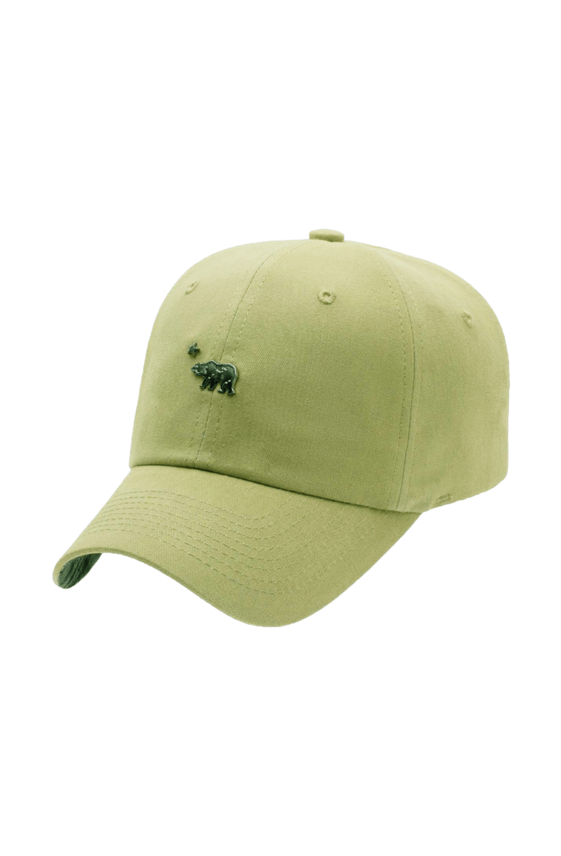 BONE OFFICIAL STRAPBACK URSO XADREZ BEGE - NewSkull