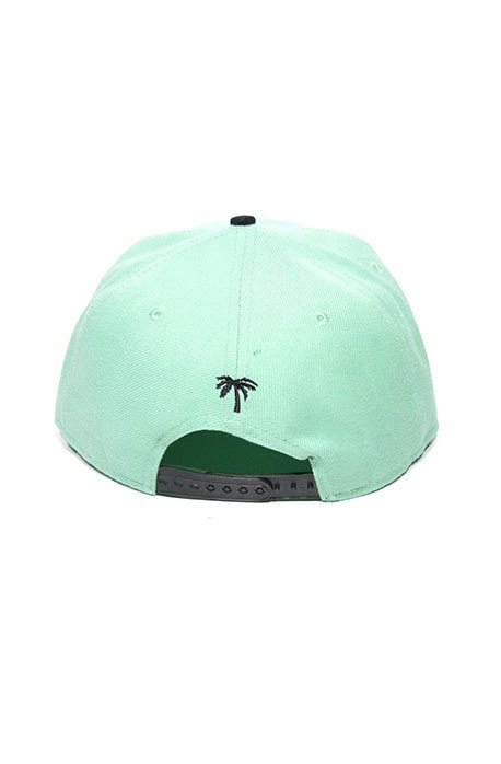 Boné Snapback BLVD Supply Tree Schooler Tiffany - NewSkull