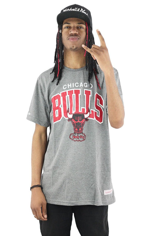 Camiseta Mitchell e Ness Chicago Bulls Arch Cinza - NewSkull