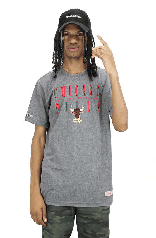 CAMISETA MITCHELL E NESS DEFENSE CHICAGO BULLS CINZA - NewSkull