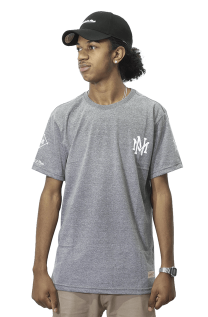 Camiseta Mitchell e Ness Interlock Cinza - NewSkull