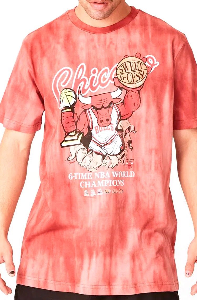 Camiseta Mitchell e Ness NBA Champs Chicago Bulls Vermelha - NewSkull