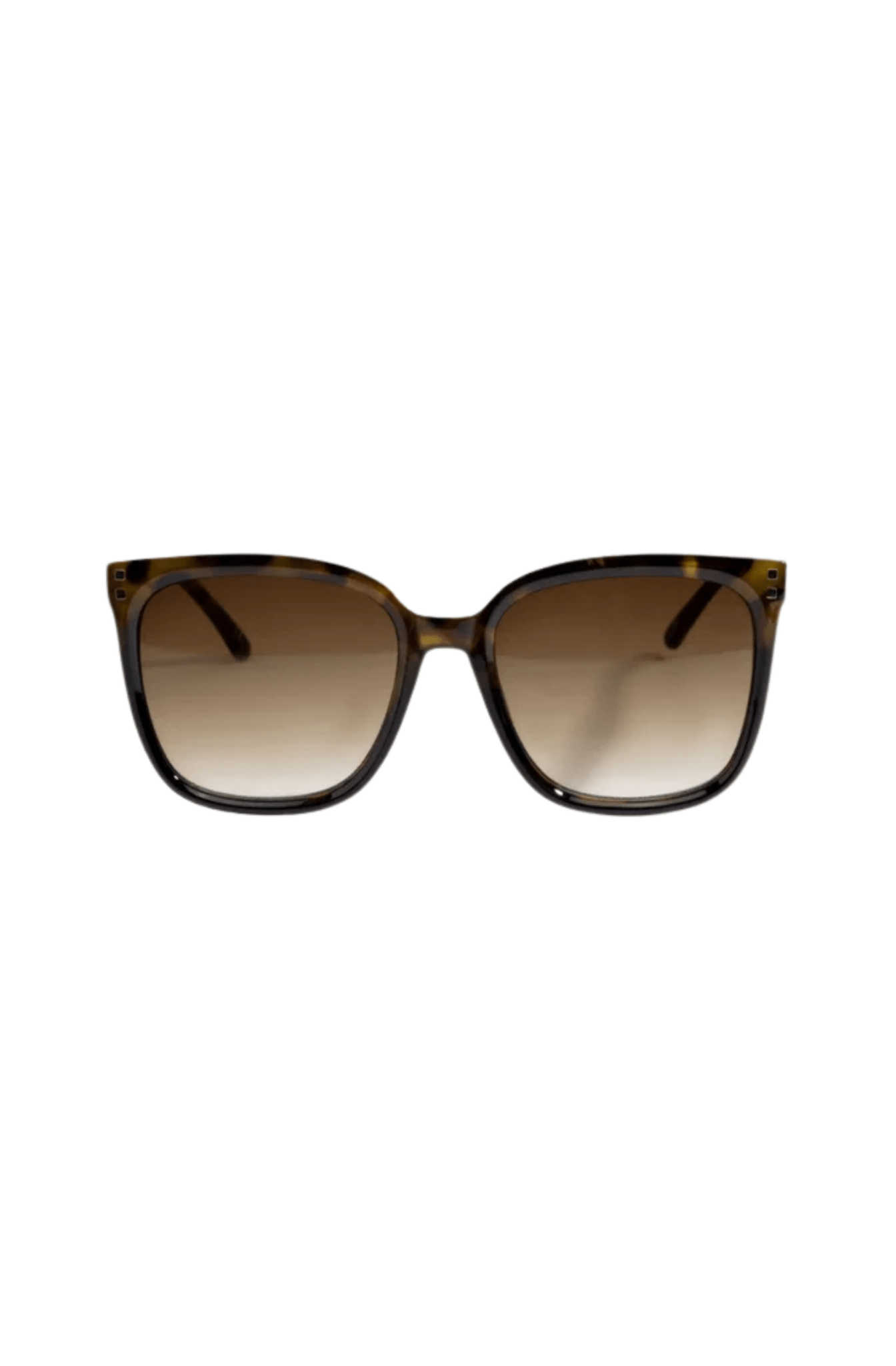 Óculos Vans Gilpin Tortoise Shell Marrom - NewSkull