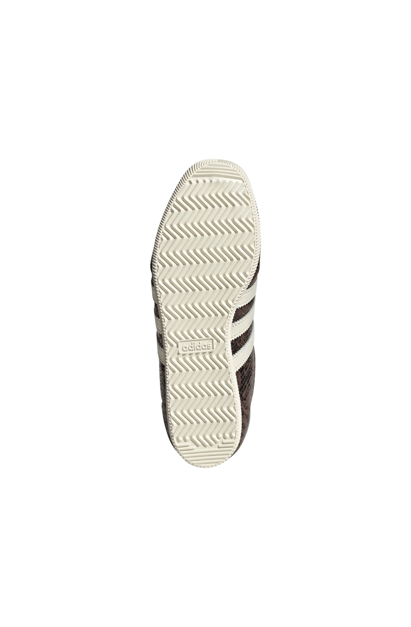 Tênis Adidas Japan Snakeskin Marrom/Branco JS4022 - NewSkull