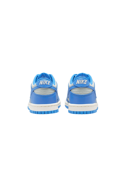 Tênis Nike Dunk Low Feminino Azul/Cinza FB9109 - 004 - NewSkull